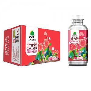 北大荒集團風味蘇打水蜜桃味裝