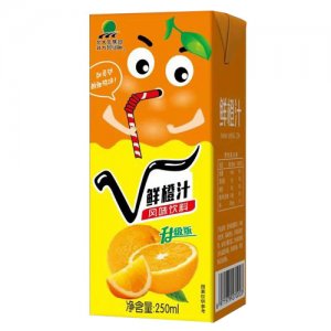 北大荒鮮橙汁風味飲料250ml