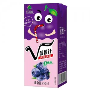 北大荒藍莓汁風味飲料250ml