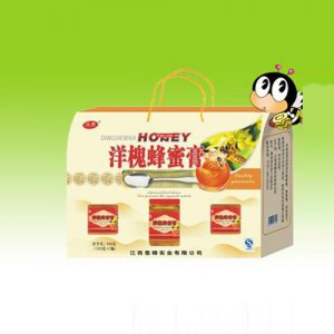 意蜂洋槐禮盒裝