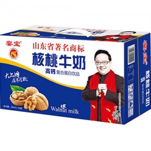 橫提核桃牛奶標(biāo)箱250mlx20
