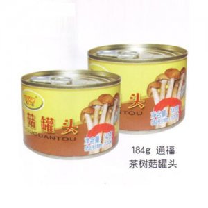 通福茶樹菇罐頭184g