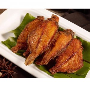 九多肉多深海香魚