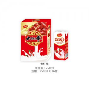 領舞大紅棗16盒禮盒