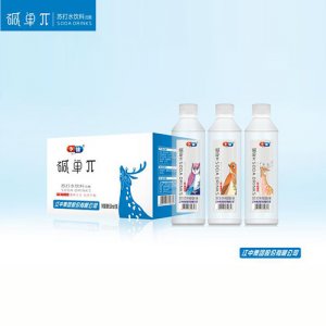 卜體堿單π蘇打水飲料500ml