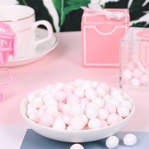 crafted薄荷香體糖95g