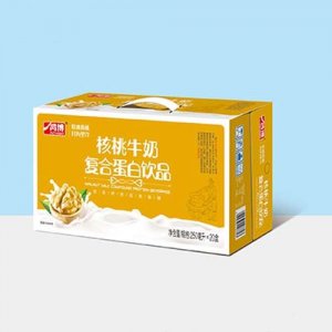 鴻博核桃牛奶復合蛋白飲品250ml×20盒