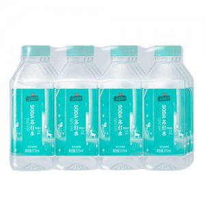 龍貓森林蘇打水飲料375mlx12瓶