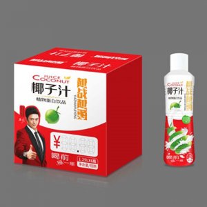 越戰越勇椰子汁1.25LX6
