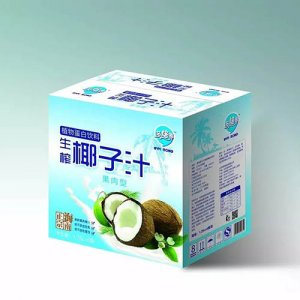 多焙養(yǎng)椰子汁1.25L紙箱