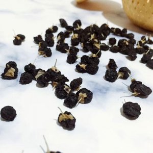 一品松鼠黑枸杞