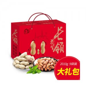 長領禮盒裝烘炒貨帶殼堅果9小袋裝2010g