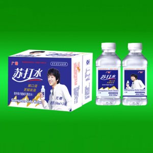 廣臻蘇打水350mlx24瓶