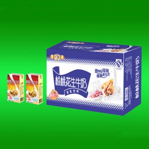 廣臻標準磚核桃花生奶250mlx20盒