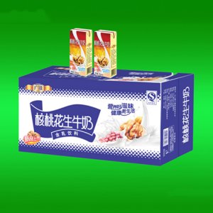 廣臻核桃花生奶250x20盒