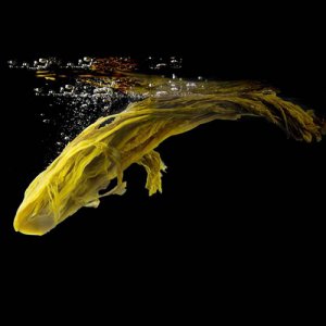 民福記老壇魚酸菜