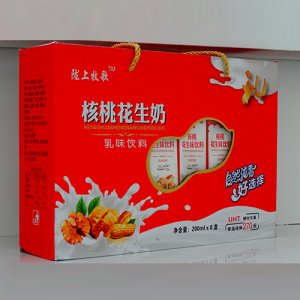 嘉仕核桃花生奶乳味飲料200ml