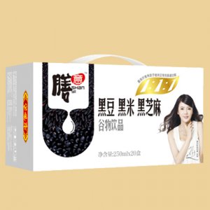 膳意谷物飲品（黑豆：黑米：黑芝麻）250mlX20