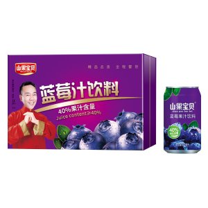 山果寶貝藍莓汁飲料禮盒