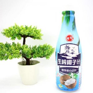 桂欽生榨椰子汁植物蛋白飲料1.25L