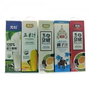 梵創(chuàng)椰子汁五谷雜糧豆奶飲料玉米汁組合1L