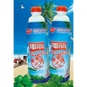 椰麗果肉椰子汁1.25kg