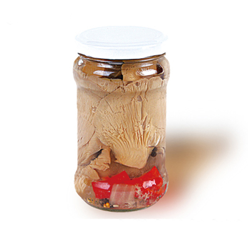 錦鵬調味平菇罐頭源頭工廠,上千個自有配方一站式服務