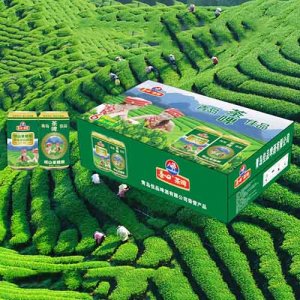 嶗山茶啤精釀箱裝