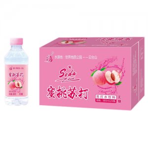 九州華洋蜜桃蘇打水飲料簡箱