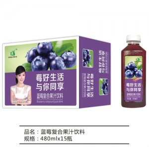 九州華洋藍莓復合果汁飲料簡箱