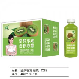 九州華洋獼猴桃復合果汁飲料簡箱