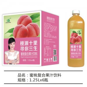九州華洋蜜桃復合果汁飲料簡箱