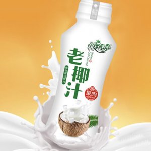 椰子泡泡老椰汁植物蛋白飲品（瓶）