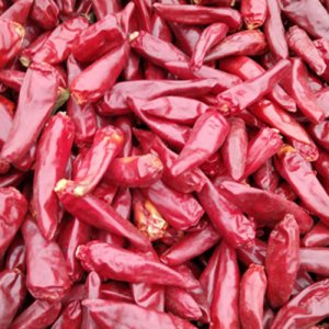 鑫辣小子干辣椒