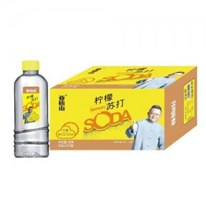亞楠山檸檬蘇打420mlX15