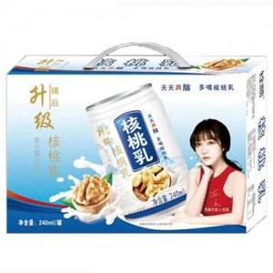慶耀核桃乳復(fù)合蛋白飲料240ml箱裝
