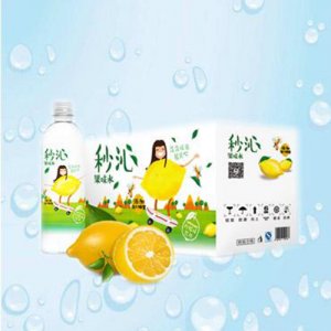 天地精華檸檬味果味水