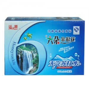 運源六朵金銀花無汽蘇打水350ml×24瓶