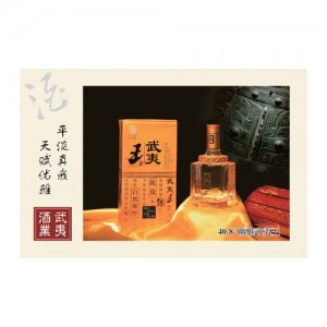 幽雅武夷王白酒48.8°