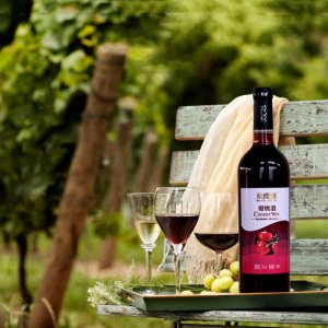 愛櫻維櫻桃酒