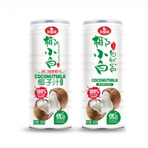 伊之伴椰子汁980克