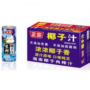 和草堂正宗椰子汁箱240mlx20
