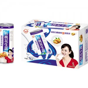 和草堂核桃花生露240mlx20罐