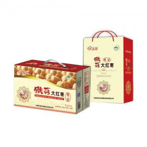 伊鄉園大紅棗猴菇乳250ml×12