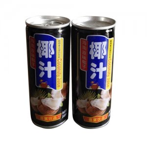 達(dá)億元椰汁飲料植物蛋白飲料240ml