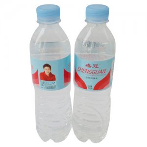 盛寶冠飲用純凈水520ml