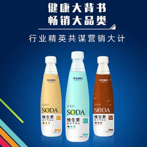 纖果知維生素蘇打氣泡水500ml