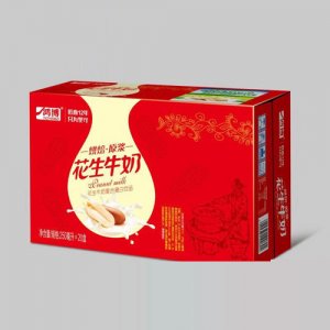 山東鴻博 花生牛奶250mlx20盒