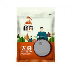 楊奇大料調味料25g