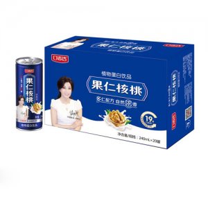 口香傳果仁核桃標(biāo)箱240×20罐